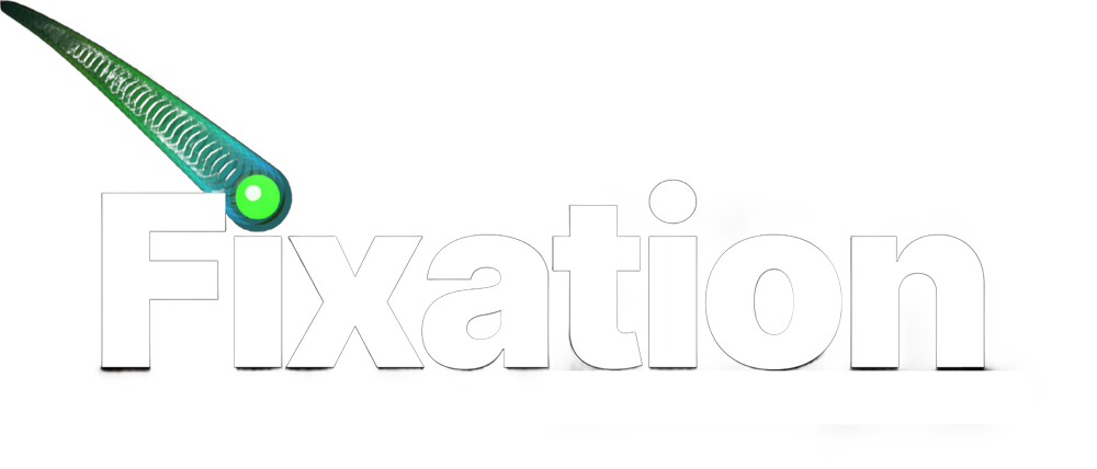 Fixation